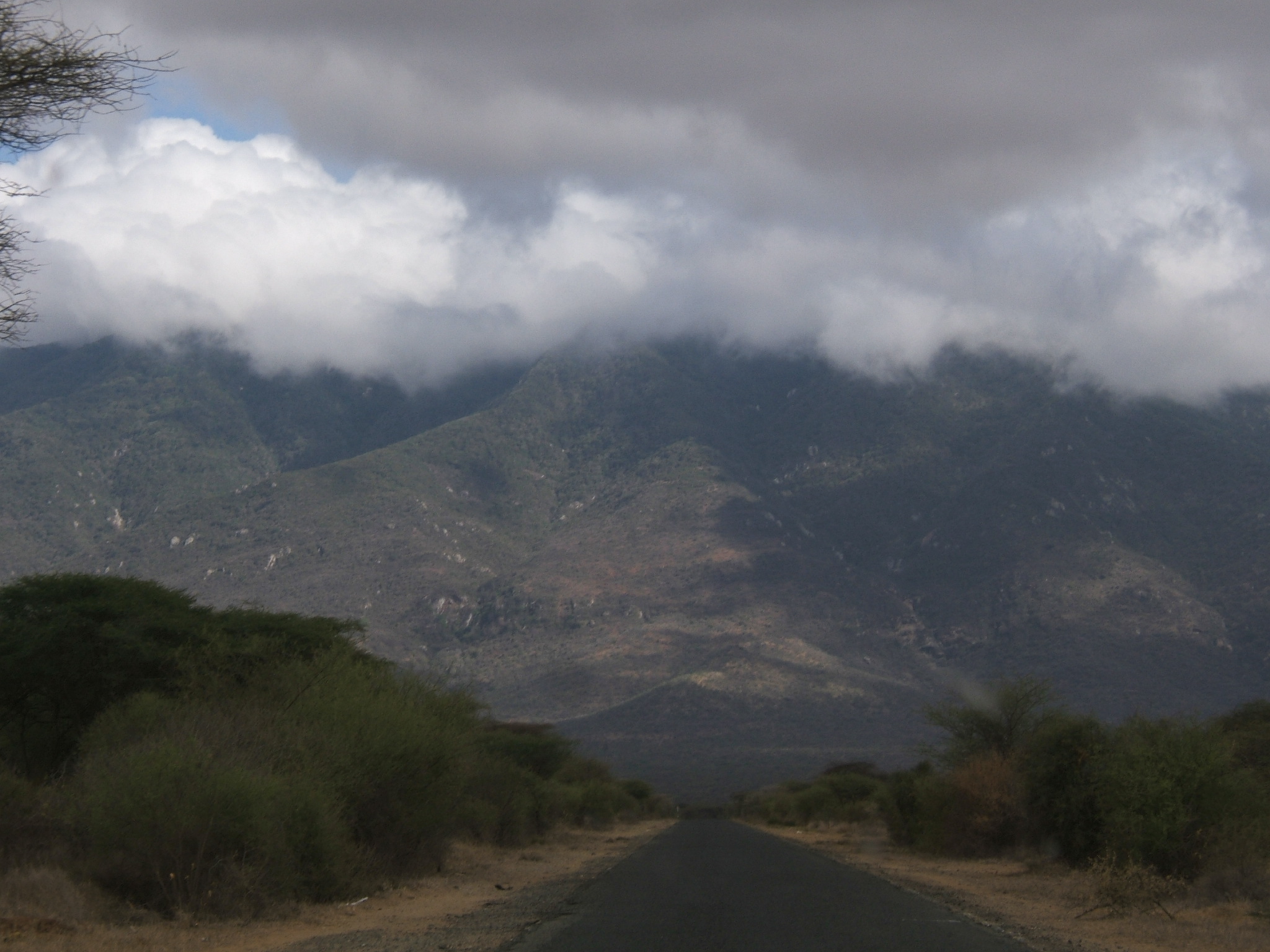 Base of Mt. Kilimanjaro