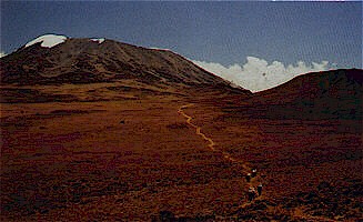 kilimanjaro.JPG (26982 bytes)