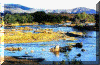 Mikumi_JPG.gif (46057 bytes)